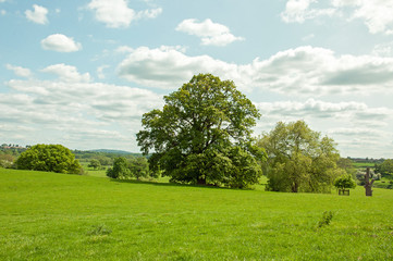 Summer landscape in the Worcestershire countryside of the United Kingdom.