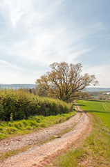 Obraz premium Summertime landscape in the British countryside.
