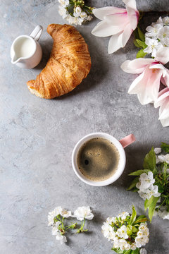 Pink mug of black espresso coffee, french croissant, cream and spring flowers magnolia, blooming cherry branches over grey texture background. Top view, space. Spring greeting card