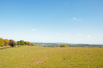 Fototapeta premium Hergest ridge in the summertime. A summertime scene along Hergest ridge along the border of England and Wales.