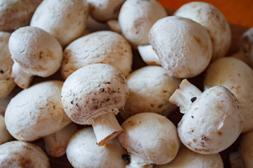 Champignon mushrooms, sacking mat and spices on wooden background