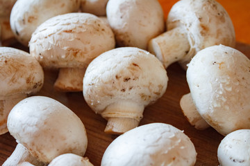 Champignon mushrooms, sacking mat and spices on wooden background