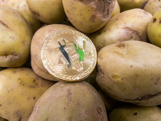 Bitcoin with coins on computer board and copy space using as background technology, money finance, business concept.