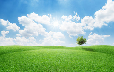 Single tree on green grass field against blue sky a nature concept - Powered by Adobe