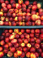 Fresh red nectarine on the summer market 