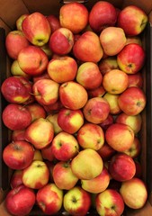 Fresh red apples on the summer market 