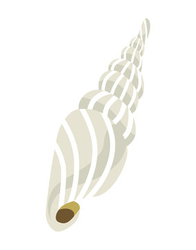 White colored Conch Seashell clip art icon