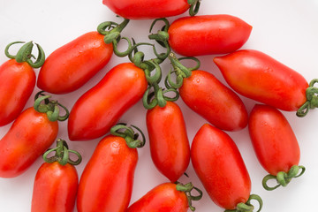 tomato on white background