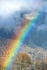 Rainbow int the mountains
