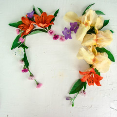 flowers on a white background