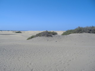 Espagne - Grande Canarie - Dunes de Maspalomas