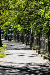 Fußweg an einer Allee