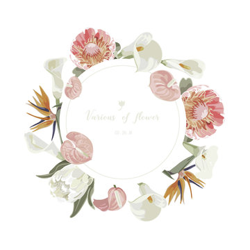 Orchids floral bouquet . Flourish greeting card and circle label .