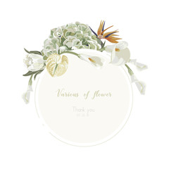 Orchids floral bouquet . Flourish greeting card and circle label .