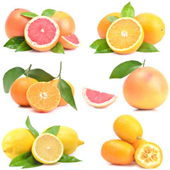 Citrus fruit