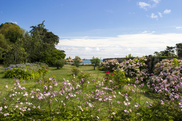 Fototapeta na wymiar Île-de-Bréhat - Jardin