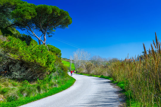 The trail, the pedestrian, car-free zone in the valley of the Alcabrichel River, surrounded by evergreen trees on steep hills. People walking along the road. Landscape near Vimeiro in Portugal.