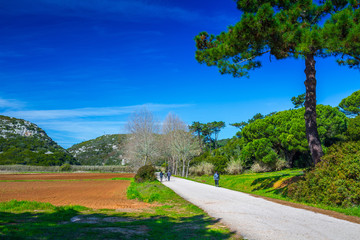 The trail, the pedestrian, car-free zone in the valley of the Alcabrichel River, surrounded by evergreen trees on steep hills. People walking along the road. Landscape near Vimeiro in Portugal.