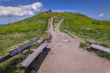 Fototapeta premium View from Orlowicz mountain pass with a climb trail to Mount Smerek on Wetlina Meadows, Bieszczady Mountains in Poland