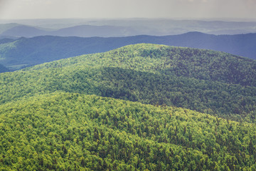 Fototapeta premium Aerial view from trail of Wetlina Meadows, Bieszczady Mountains in Poland