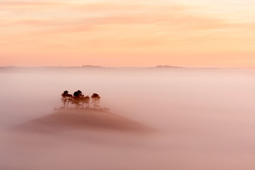 copse on hill in fog at sunrise