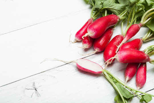 Radish bunch, bundle. Diet cooking spring food. Copy space for text.