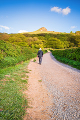 Walking to Roseberry Topping / Newton Wood and Roseberry Topping, a distinctive hill in North...