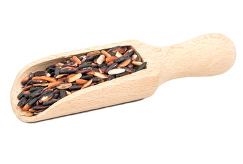 Wild rice in scoop