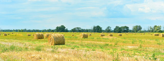 Landscape with a haystacks.