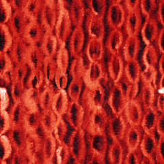Red indigo shibori chain pattern. Seamless watercolor background for textile, wrapping, ceramics, fabric