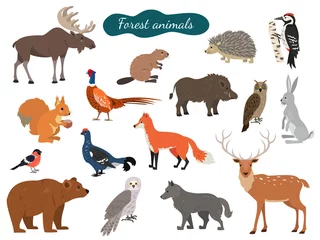 Glasschilderij Bosdieren Set van bos dieren op witte achtergrond.