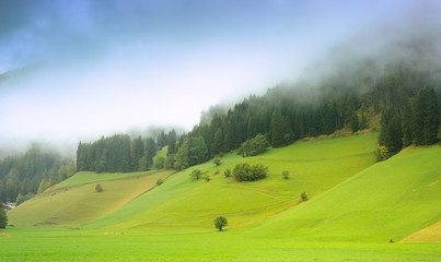 Beautiful alpine landscape with dense fog covering hill slopes over fresh green meadow