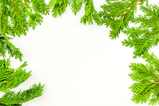Frame or background with juniper for image editing, image design. Juniper branch on white background top view copy space