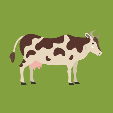 Cute cow on green background.
