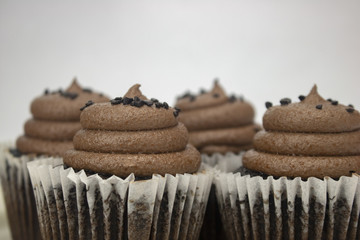 A chocolate cupcake on an isolated white background with room for text