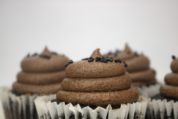 A chocolate cupcake on an isolated white background with room for text