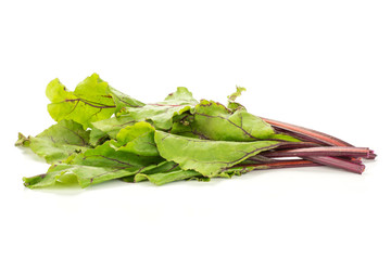 Beet greens bundle isolated on white background young fresh leaves.