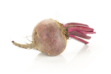 One red beet with cut tops isolated on white background one root bulb.