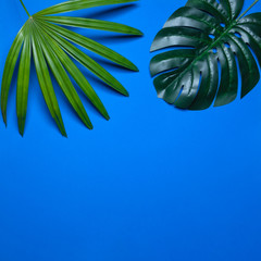 Trendy summer tropical leaves, Tropical leaves on blue background, Summer tropical backgrounds, Minimal concept. Flat lay.