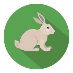 Cute rabbit on green background.