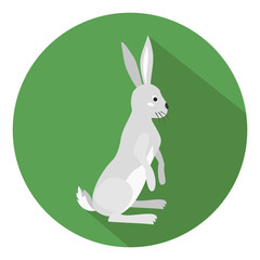 Cute hare on green background.