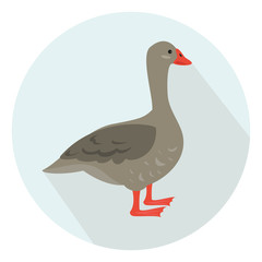 Cartoon goose icon on blue background.