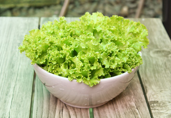 fresh green lettuce in bowl, healthy green salad