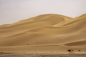 Fototapeta na wymiar Big dunes in Grand Erg Occidental in Sahara desert, Algeria