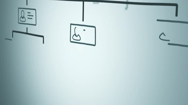 organization chart concept