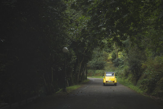 Yellow Car Through Forest Road