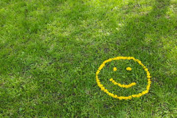 Fototapeta premium Весёлый жёлтый смайлик из одуванчиков на зелёной траве в нижнем углу
