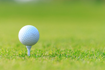 Golf ball on tee on green grass, golf court