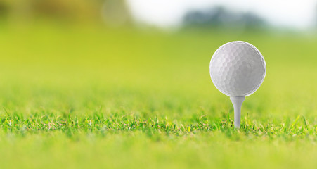 Golf ball on tee on green grass, golf court