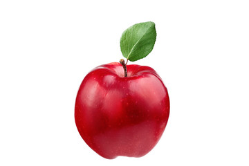 ripe red apple isolated